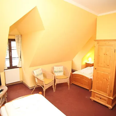 Гостевой дом Spaleny Mlyn 3*